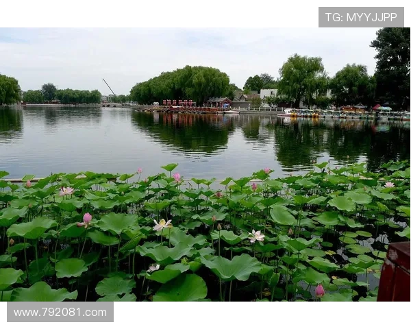 后海不是海：京城烟火里的低语与回响